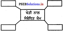 PSEB 5th Class EVS Solutions Chapter 23 ਖੇਤ ਤੋਂ ਪਲੇਟ ਤੱਕ 6