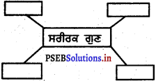 PSEB 5th Class EVS Solutions Chapter 3 ਪਸੰਦ ਆਪੋ-ਆਪਣੀ 4