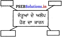 PSEB 5th Class EVS Solutions Chapter 6 ਧਰਤੀ ਸਾਡਾ ਵੀ ਘਰ 1