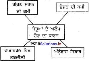 PSEB 5th Class EVS Solutions Chapter 6 ਧਰਤੀ ਸਾਡਾ ਵੀ ਘਰ 2