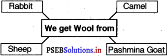 PSEB 5th Class EVS Solutions Chapter 7 Animals – Friends of Man 4