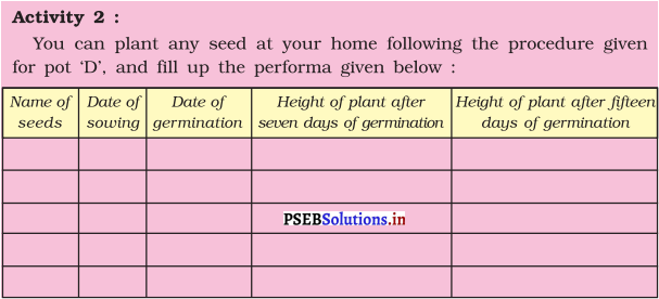 PSEB 5th Class EVS Solutions Chapter 8 Journey of Seed 1