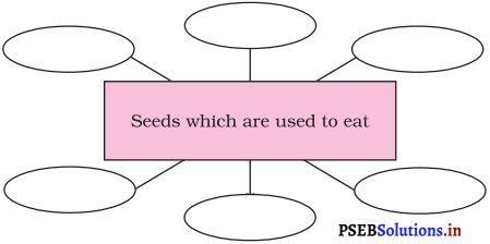 PSEB 5th Class EVS Solutions Chapter 8 Journey of Seed 2