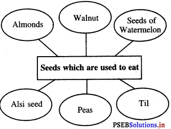 Class 5th, EVS, PSEB