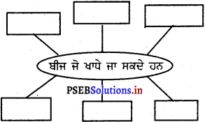 PSEB 5th Class EVS Solutions Chapter 8 ਬੀਜ ਦਾ ਸਫ਼ਰ 2