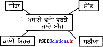 PSEB 5th Class EVS Solutions Chapter 8 ਬੀਜ ਦਾ ਸਫ਼ਰ 5