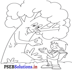 PSEB 5th Class EVS Solutions Chapter 9 Forests and Life 1