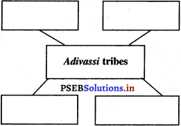 PSEB 5th Class EVS Solutions Chapter 9 Forests and Life 3