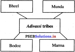 PSEB 5th Class EVS Solutions Chapter 9 Forests and Life 4