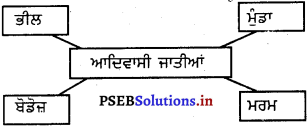 PSEB 5th Class EVS Solutions Chapter 9 ਜੰਗਲ ਅਤੇ ਜੀਵਨ 4