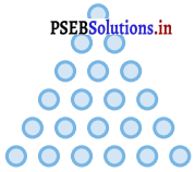PSEB 5th Class Maths Solutions Chapter 11 पैट्रन Ex 11.1 5