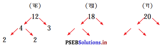 PSEB 5th Class Maths Solutions Chapter 3 महत्तम समावर्तक और लघुत्तम ...