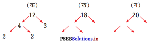 PSEB 5th Class Maths Solutions Chapter 3 महत्तम समावर्तक और लघुत्तम समावर्तक Ex 3.1 4