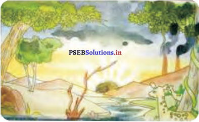 PSEB 5th Class Welcome Life Solutions Chapter 1 स्वास्थ्य और सफ़ाई 2