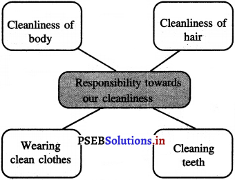 PSEB 5th Class Welcome Life Solutions Chapter 3 Responsibility 9