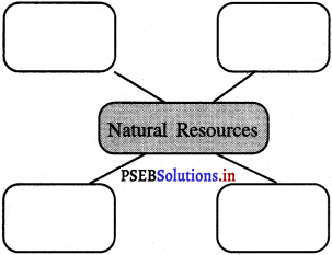 PSEB 5th Class Welcome Life Solutions Chapter 5 Love with Nature and Environment 1