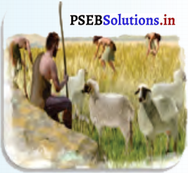 PSEB 5th Class Welcome Life Solutions Chapter 6 Equal Respect for all 10