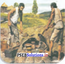 PSEB 5th Class Welcome Life Solutions Chapter 6 ਸਭ ਦਾ ਬਰਾਬਰ ਸਤਿਕਾਰ 7