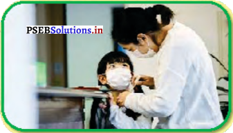 PSEB 5th Class Welcome Life Solutions Chapter 8 Self-Defence 13