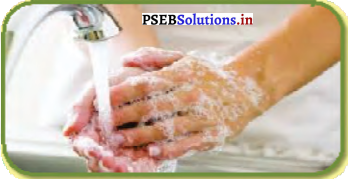 PSEB 5th Class Welcome Life Solutions Chapter 8 Self-Defence 14