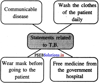 PSEB 5th Class Welcome Life Solutions Chapter 9 Right Solution to the Problem 11