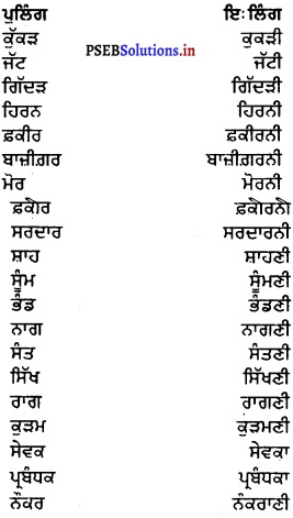 PSEB 6th Class Punjabi Vyakaran ਲਿੰਗ (1st Language) 1