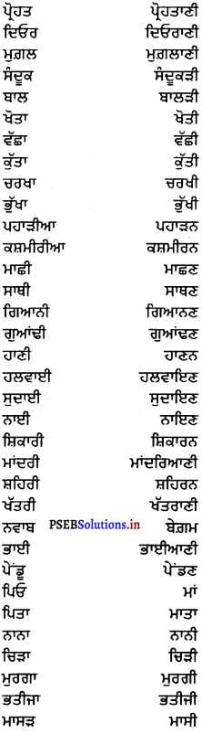 PSEB 6th Class Punjabi Vyakaran ਲਿੰਗ (1st Language) 4