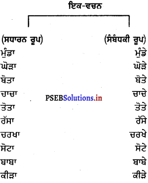 PSEB 6th Class Punjabi Vyakaran ਵਚਨ (1st Language) 1