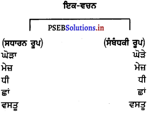 PSEB 6th Class Punjabi Vyakaran ਵਚਨ (1st Language) 11