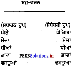 PSEB 6th Class Punjabi Vyakaran ਵਚਨ (1st Language) 12