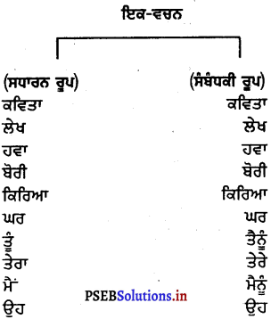 PSEB 6th Class Punjabi Vyakaran ਵਚਨ (1st Language) 13