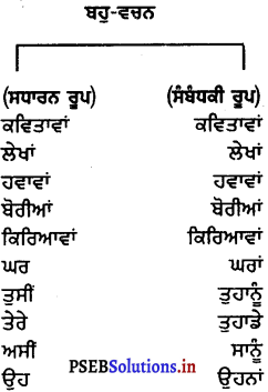 PSEB 6th Class Punjabi Vyakaran ਵਚਨ (1st Language) 14