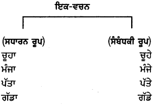 PSEB 6th Class Punjabi Vyakaran ਵਚਨ (1st Language) 3