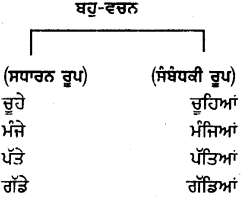 PSEB 6th Class Punjabi Vyakaran ਵਚਨ (1st Language) 4