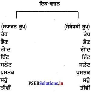 PSEB 6th Class Punjabi Vyakaran ਵਚਨ (1st Language) 7