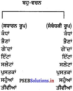 PSEB 6th Class Punjabi Vyakaran ਵਚਨ (1st Language) 8
