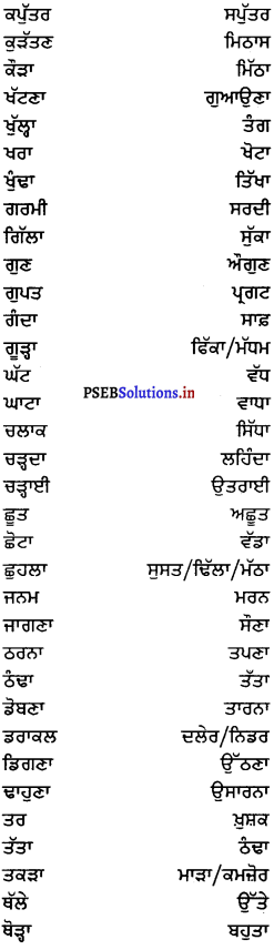 PSEB 6th Class Punjabi Vyakaran ਵਿਰੋਧਾਰਥਕ ਸ਼ਬਦ (1st Language) 3