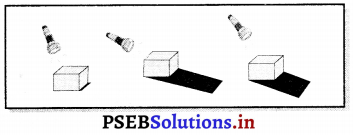 PSEB 6th Class Science Solutions Chapter 11 ਪ੍ਰਕਾਸ਼, ਪਰਛਾਵੇਂ ਅਤੇ ਪਰਾਵਰਤਨ 10