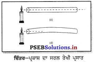 PSEB 6th Class Science Solutions Chapter 11 ਪ੍ਰਕਾਸ਼, ਪਰਛਾਵੇਂ ਅਤੇ ਪਰਾਵਰਤਨ 5