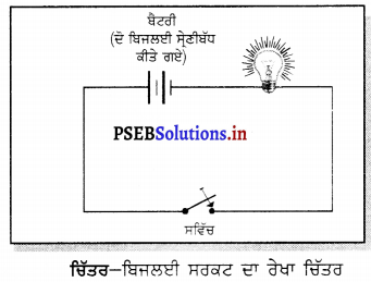 PSEB 6th Class Science Solutions Chapter 12 ਬਿਜਲੀ ਅਤੇ ਸਰਕਟ 5