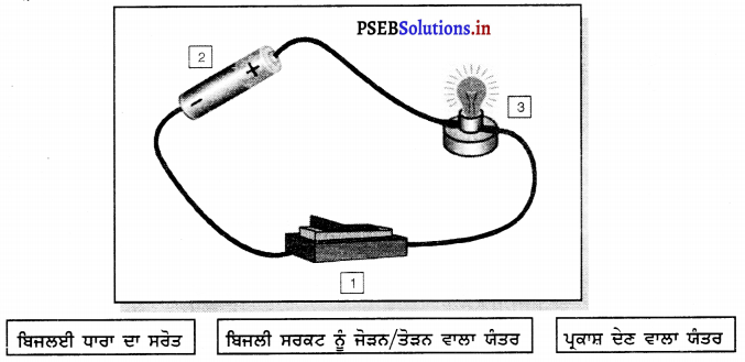 PSEB 6th Class Science Solutions Chapter 12 ਬਿਜਲੀ ਅਤੇ ਸਰਕਟ 7