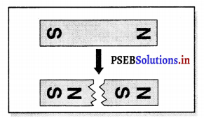 PSEB 6th Class Science Solutions Chapter 13 ਚੁੰਬਕਾਂ ਰਾਹੀਂ ਮਨੋਰੰਜਨ 1