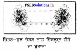 PSEB 6th Class Science Solutions Chapter 13 ਚੁੰਬਕਾਂ ਰਾਹੀਂ ਮਨੋਰੰਜਨ 4