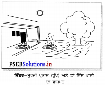 PSEB 6th Class Science Solutions Chapter 14 ਪਾਣੀ 2