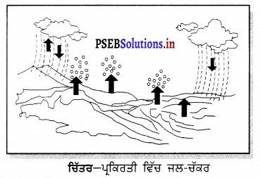 PSEB 6th Class Science Solutions Chapter 14 ਪਾਣੀ 7