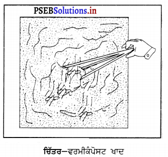 PSEB 6th Class Science Solutions Chapter 16 ਕੂੜੇ-ਕਰਕਟ ਦੀ ਸੰਭਾਲ ਅਤੇ ਨਿਪਟਾਰਾ 4