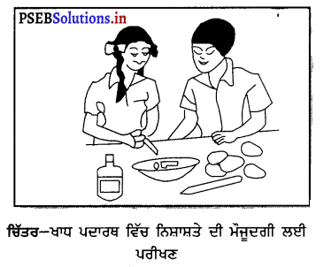 PSEB 6th Class Science Solutions Chapter 2 ਭੋਜਨ ਦੇ ਤੱਤ 1