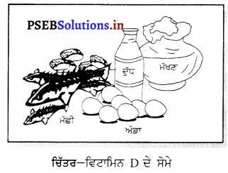 PSEB 6th Class Science Solutions Chapter 2 ਭੋਜਨ ਦੇ ਤੱਤ 8