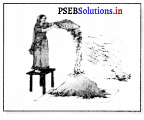 PSEB 6th Class Science Solutions Chapter 5 ਪਦਾਰਥਾਂ ਦਾ ਨਿਖੇੜਨ – PSEB ...