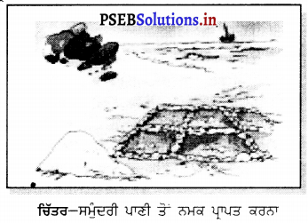 PSEB 6th Class Science Solutions Chapter 5 ਪਦਾਰਥਾਂ ਦਾ ਨਿਖੇੜਨ 3